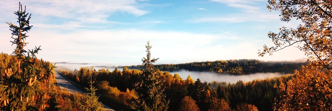 herbst7