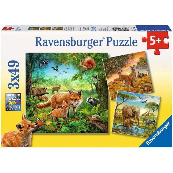 Spiel 6058.0